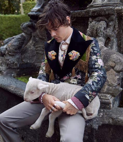 harry styles gucci animali|harry styles gucci website.